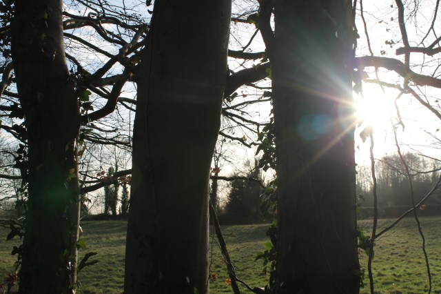 Bills and Betchworth 045