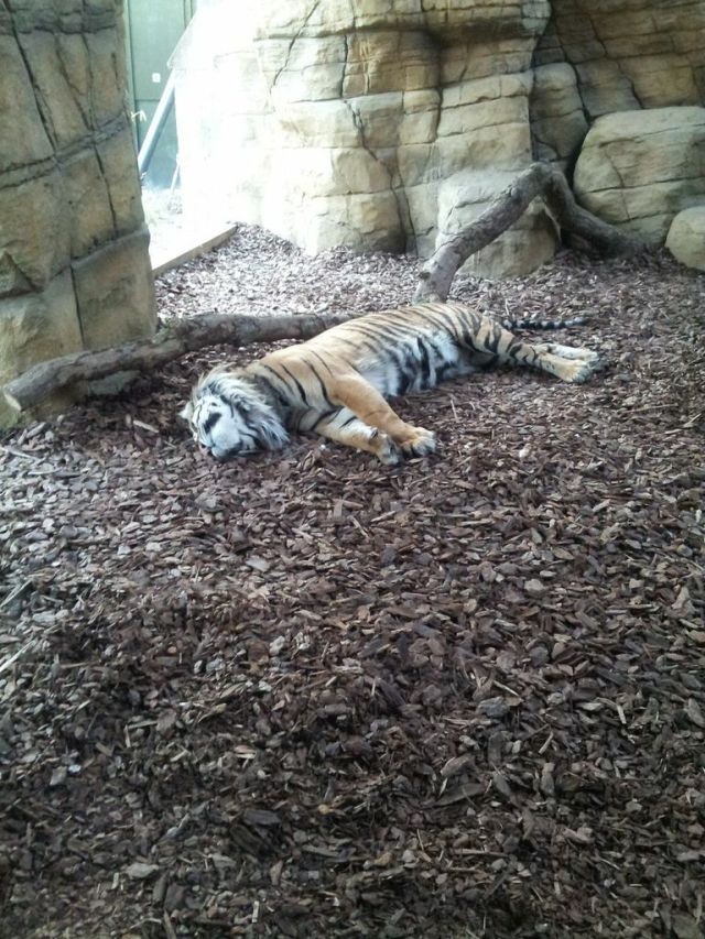 oQf5TRb3JCb1A9obG89q_peUmmxw6hffitSK_OovBis