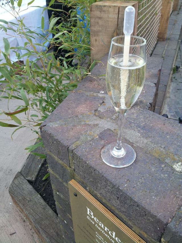 yR9N2sZmxGVojUm6FUQiDQju8-DMW45mUaQfw0EVKS0