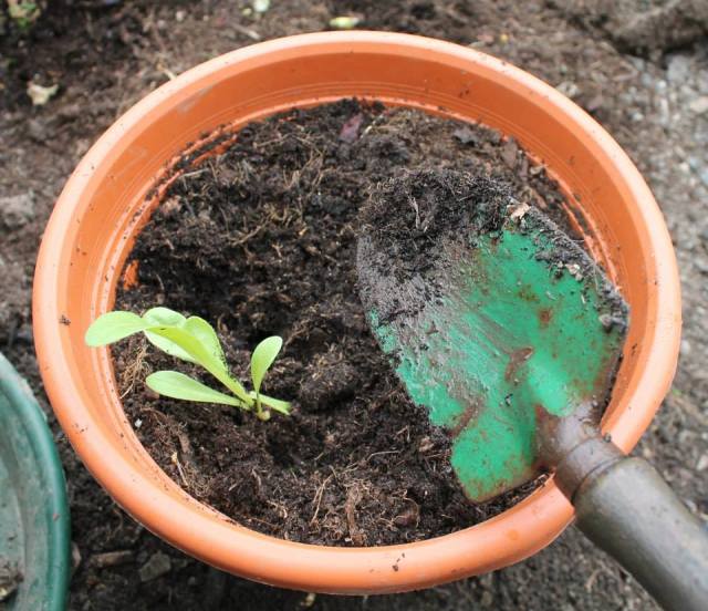 1003294_875311044500_566685111_n