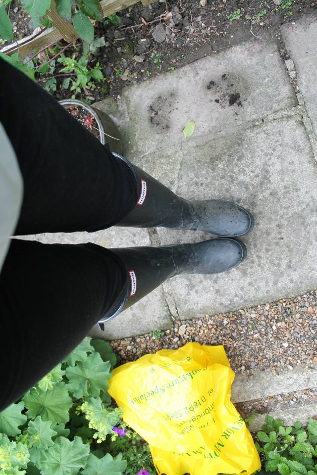 1013706_875309088420_197009013_n