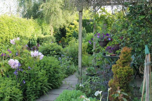 1017582_875310834920_548439135_n