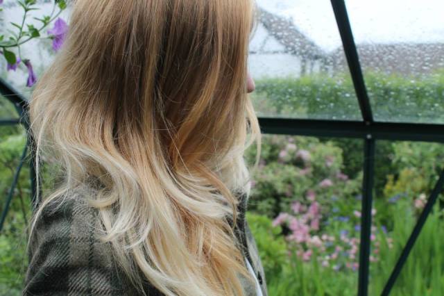 8619_875312137310_1085589293_n