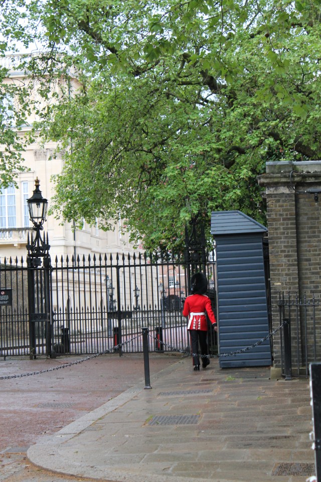 walk in the park 012