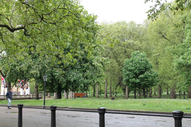 walk in the park 014