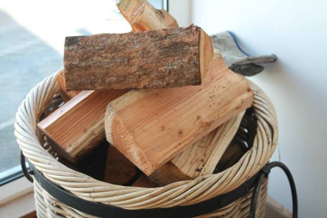 1375149_923759393620_1938747493_n