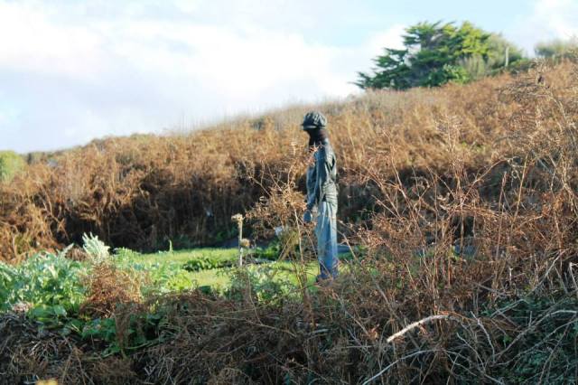 1379588_925305225760_368879502_n