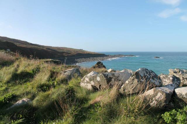 1383627_925305076060_1003342767_n