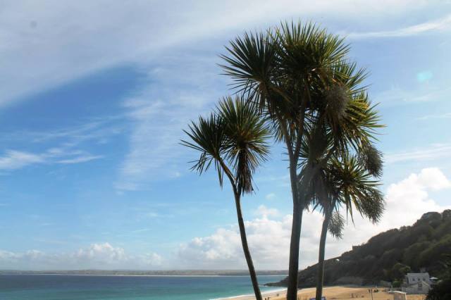 1385116_925304267680_1696776537_n