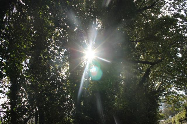 1385167_925304232750_1923246942_n