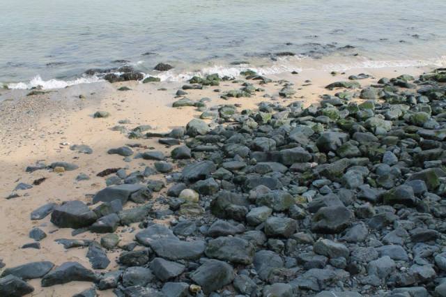 1394462_923646400060_838633593_n