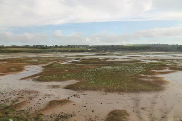 1395419_925304741730_746495995_n